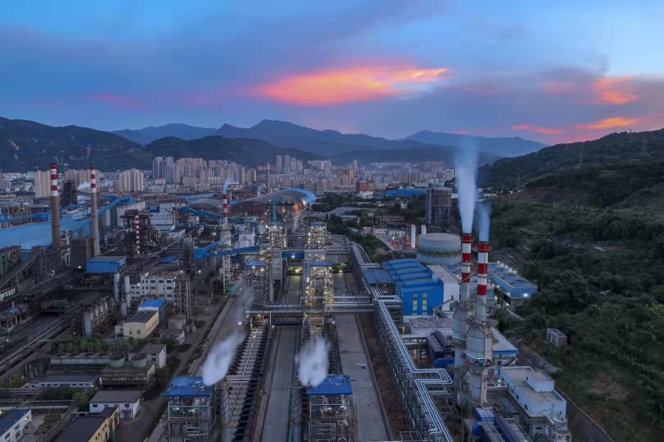 焦化廠(chǎng)夜景展示